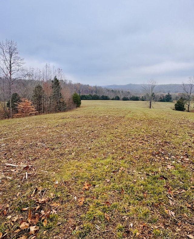 0 W Blue Creek Rd, Waverly TN, 37185 land for sale