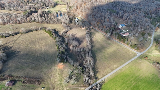 0 W Blue Creek Rd, Waverly TN, 37185 land for sale