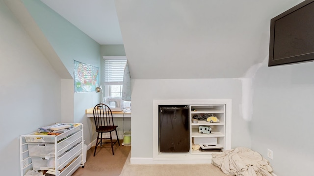 interior space with light colored carpet