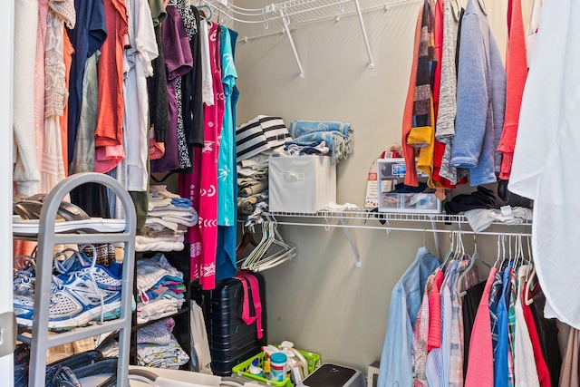 view of spacious closet