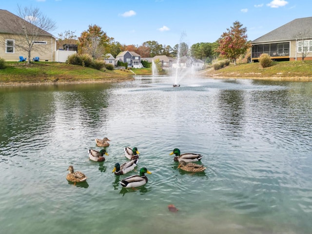 water view