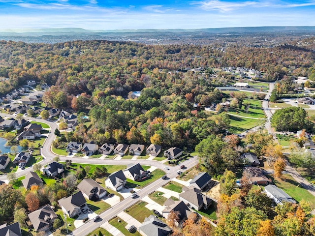 bird's eye view