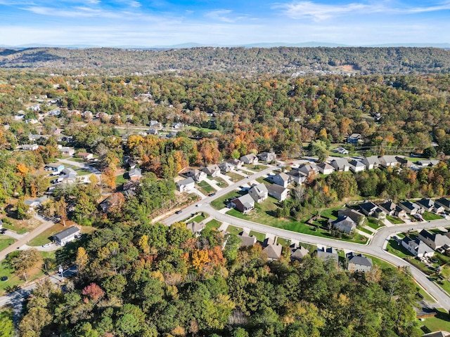 aerial view