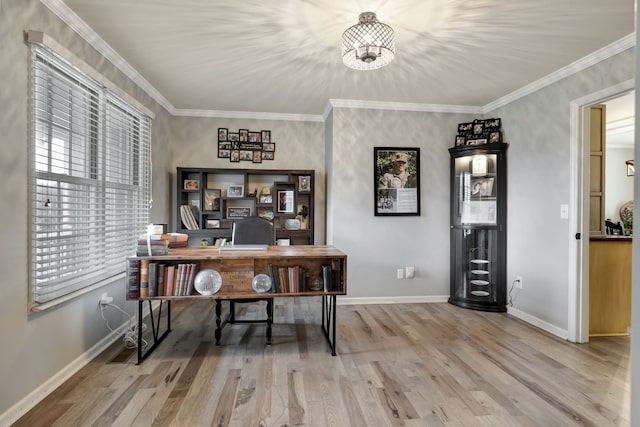 office area featuring wood-type flooring and crown molding