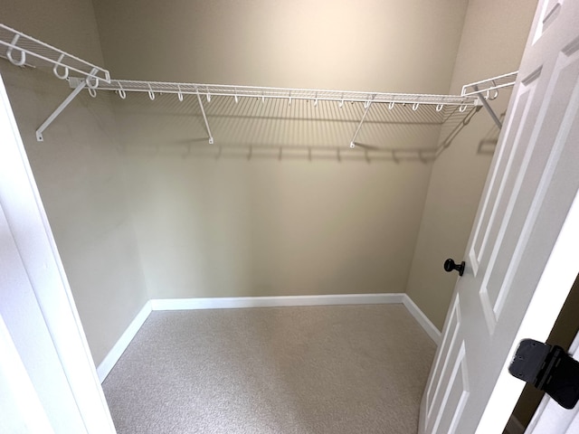 walk in closet featuring carpet floors