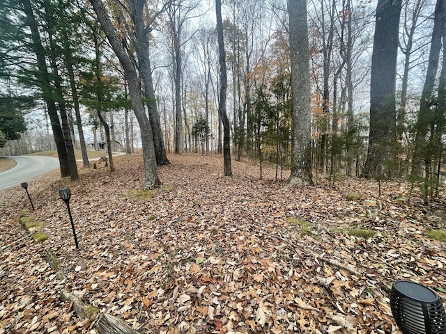 2029 Holly Creek Rd, Celina, TN 38551 - view of yard