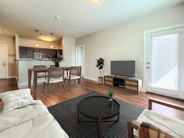 living room featuring hardwood / wood-style flooring