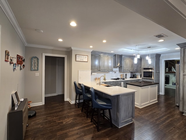 kitchen with kitchen peninsula, hanging light fixtures, stainless steel appliances, and dark hardwood / wood-style floors