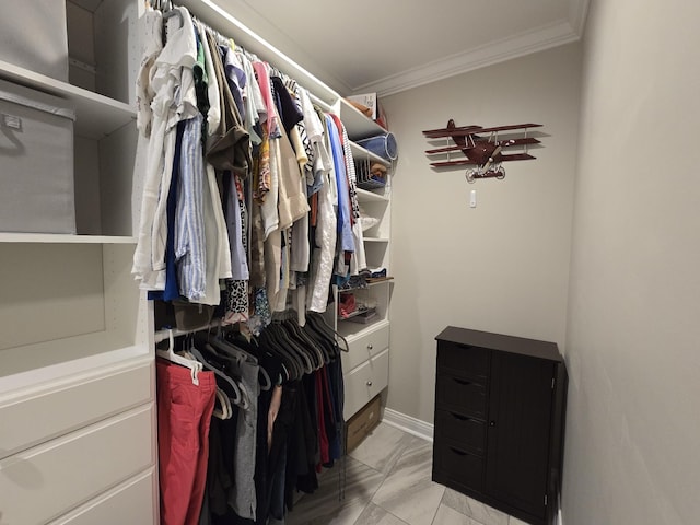 140 Dunn Fall River Rd, Leoma, TN 38468 - view of walk in closet