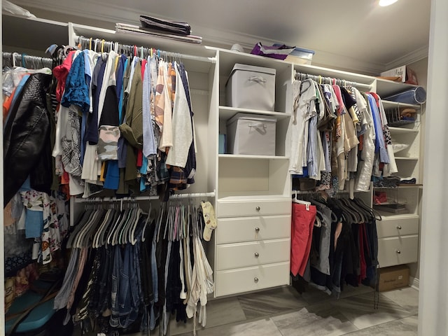 view of spacious closet