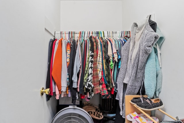 view of spacious closet