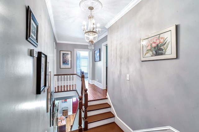 interior space featuring a chandelier, hardwood / wood-style floors, and ornamental molding