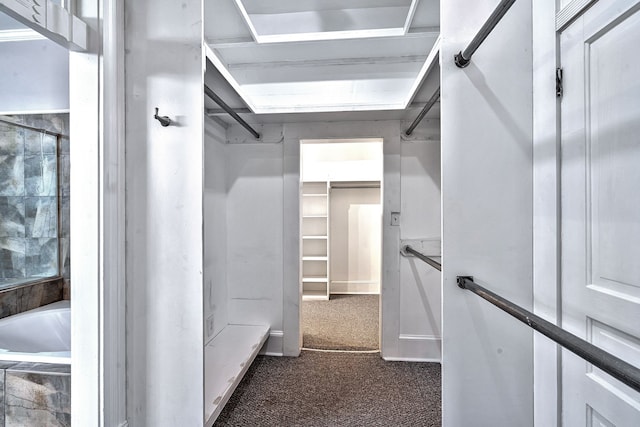 walk in closet featuring dark colored carpet