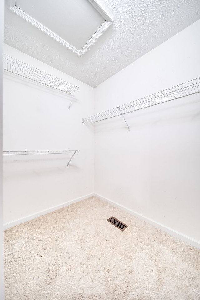 walk in closet featuring carpet floors