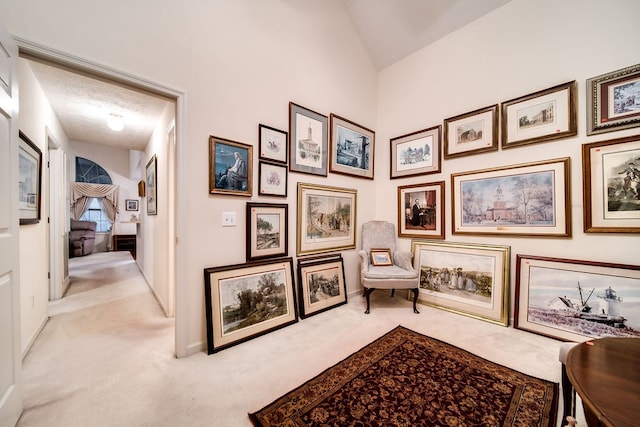 corridor with a textured ceiling, light carpet, and vaulted ceiling