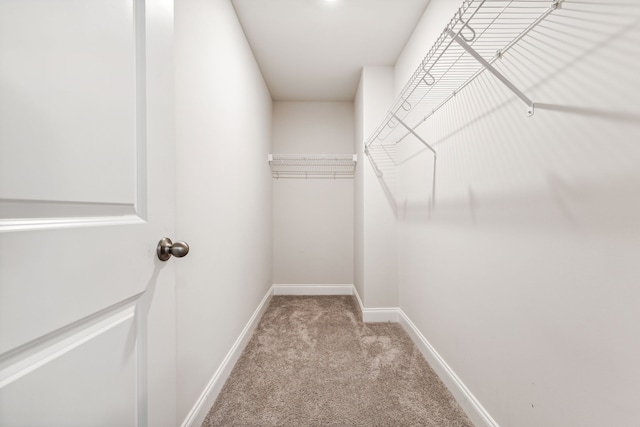 walk in closet with light colored carpet