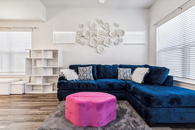 living room with hardwood / wood-style flooring