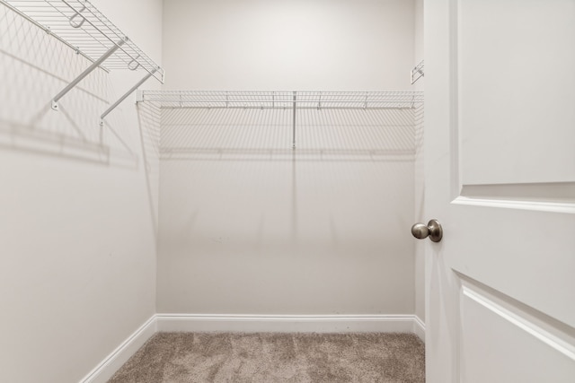 walk in closet featuring carpet flooring