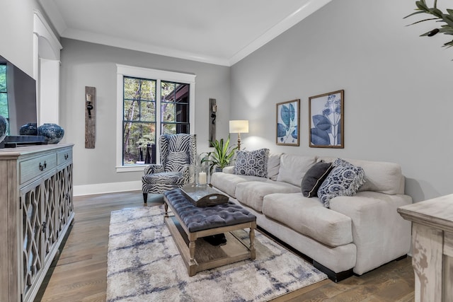 living room with crown molding and hardwood / wood-style floors