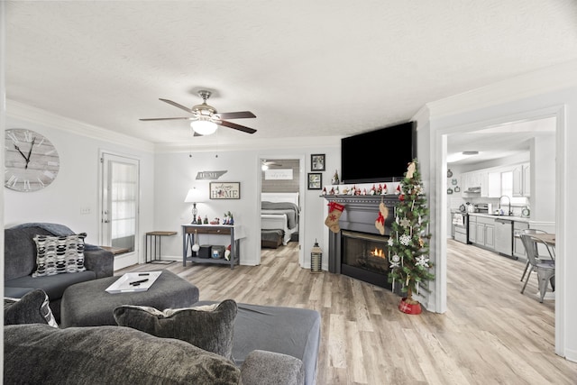 living room featuring ceiling fan, sink, light wood-type flooring, a textured ceiling, and ornamental molding