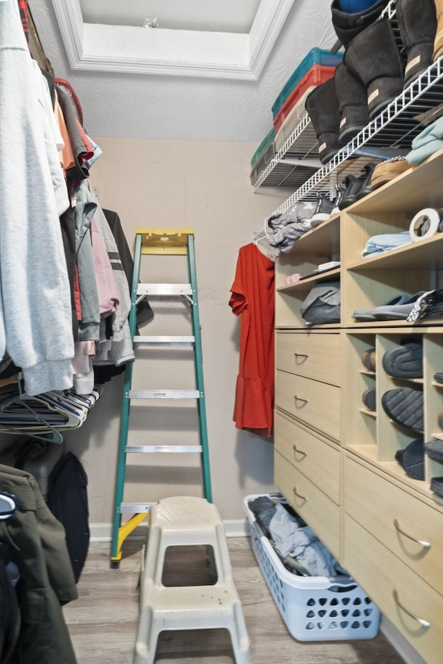 spacious closet featuring light hardwood / wood-style flooring