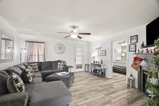 living room with crown molding, light hardwood / wood-style flooring, ceiling fan, and a textured ceiling