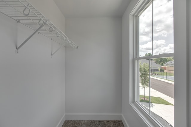 walk in closet with carpet floors