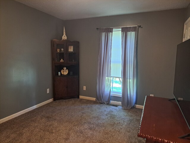 empty room with a textured ceiling and carpet