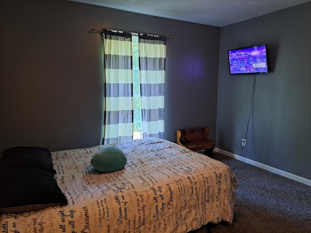 carpeted bedroom with multiple windows