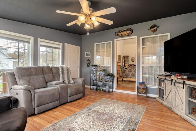 living room with ceiling fan and light hardwood / wood-style flooring