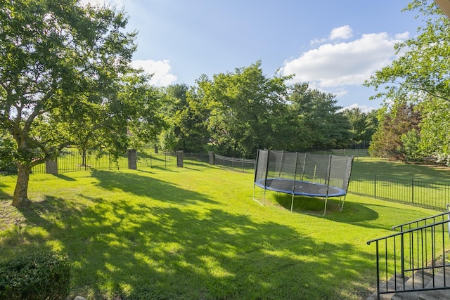 view of yard with a trampoline