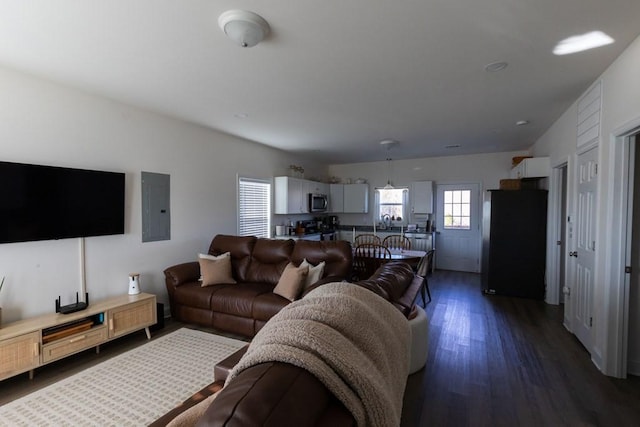 living room featuring dark hardwood / wood-style flooring and electric panel