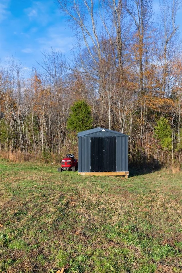 view of yard with a storage shed