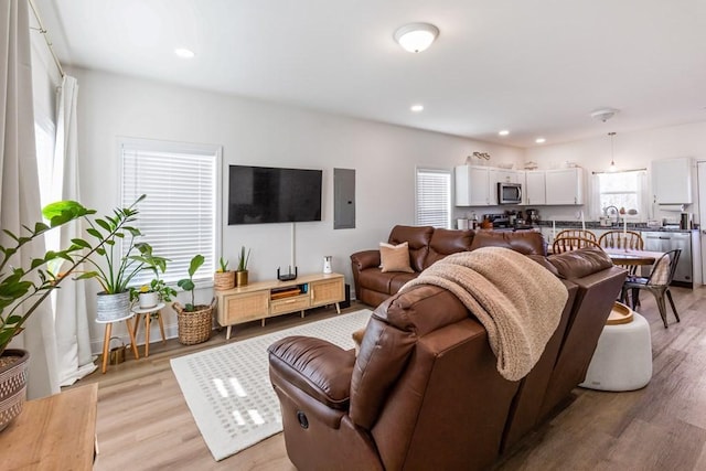 living room with light hardwood / wood-style floors and electric panel