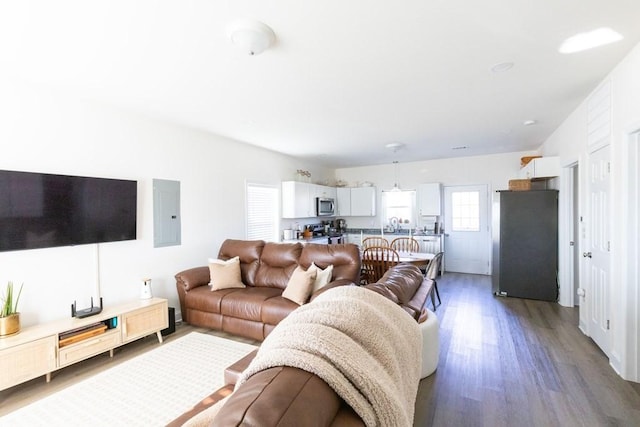 living room featuring electric panel and dark hardwood / wood-style floors