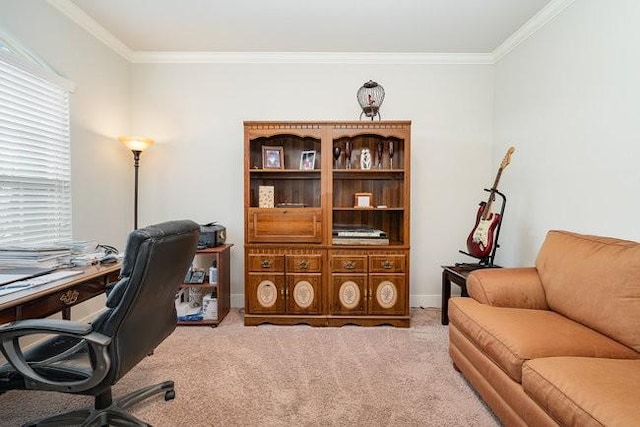 carpeted office space featuring ornamental molding