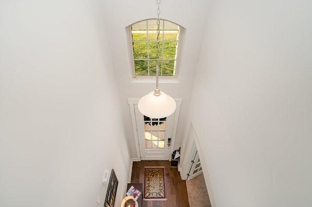 doorway featuring dark wood-type flooring