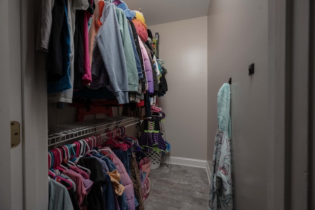 walk in closet with hardwood / wood-style flooring