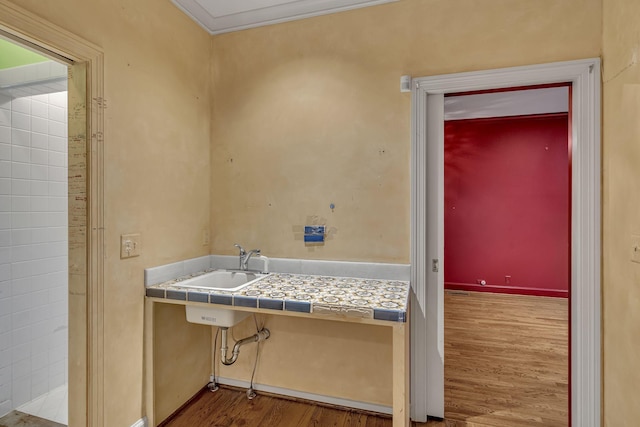 clothes washing area featuring wood-type flooring and sink