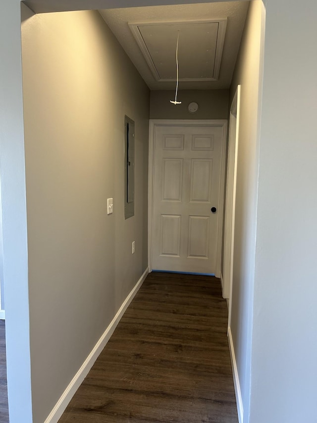 corridor with electric panel and dark hardwood / wood-style floors