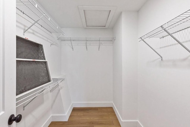 walk in closet featuring hardwood / wood-style floors