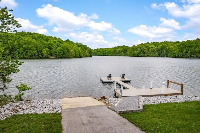 dock area featuring a water view