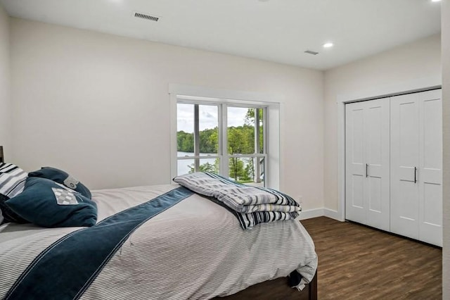 bedroom featuring dark wood-type flooring and a closet