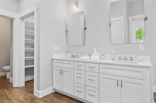 bathroom featuring vanity and wood-type flooring