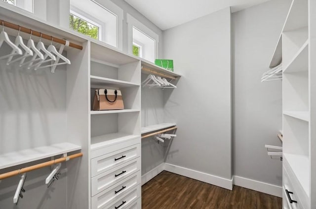 spacious closet featuring dark wood-type flooring