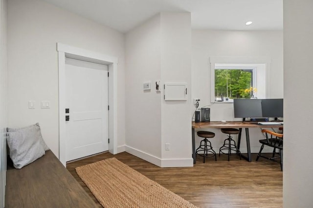 foyer entrance featuring hardwood / wood-style flooring