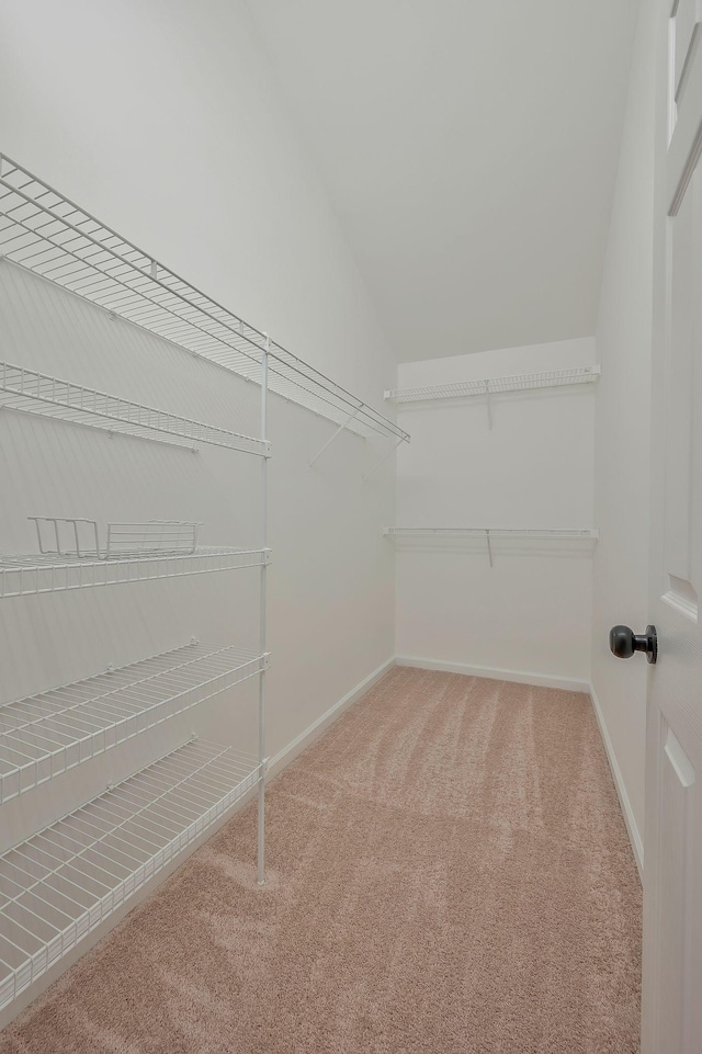 walk in closet featuring lofted ceiling and carpet floors