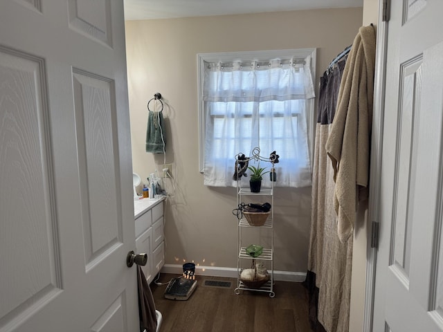 bathroom with hardwood / wood-style floors and vanity