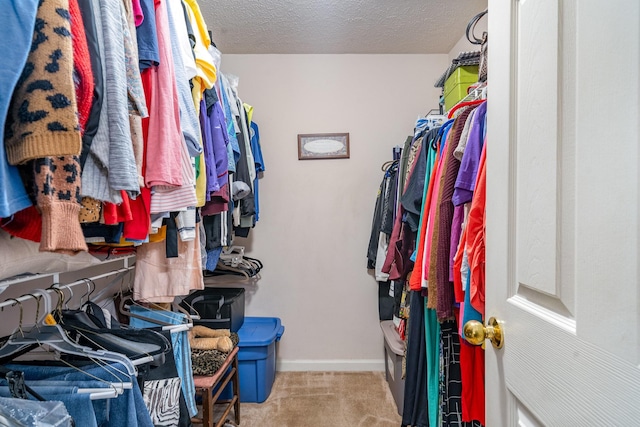 walk in closet with light colored carpet