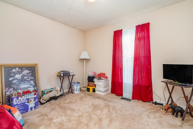 misc room featuring carpet flooring and a textured ceiling